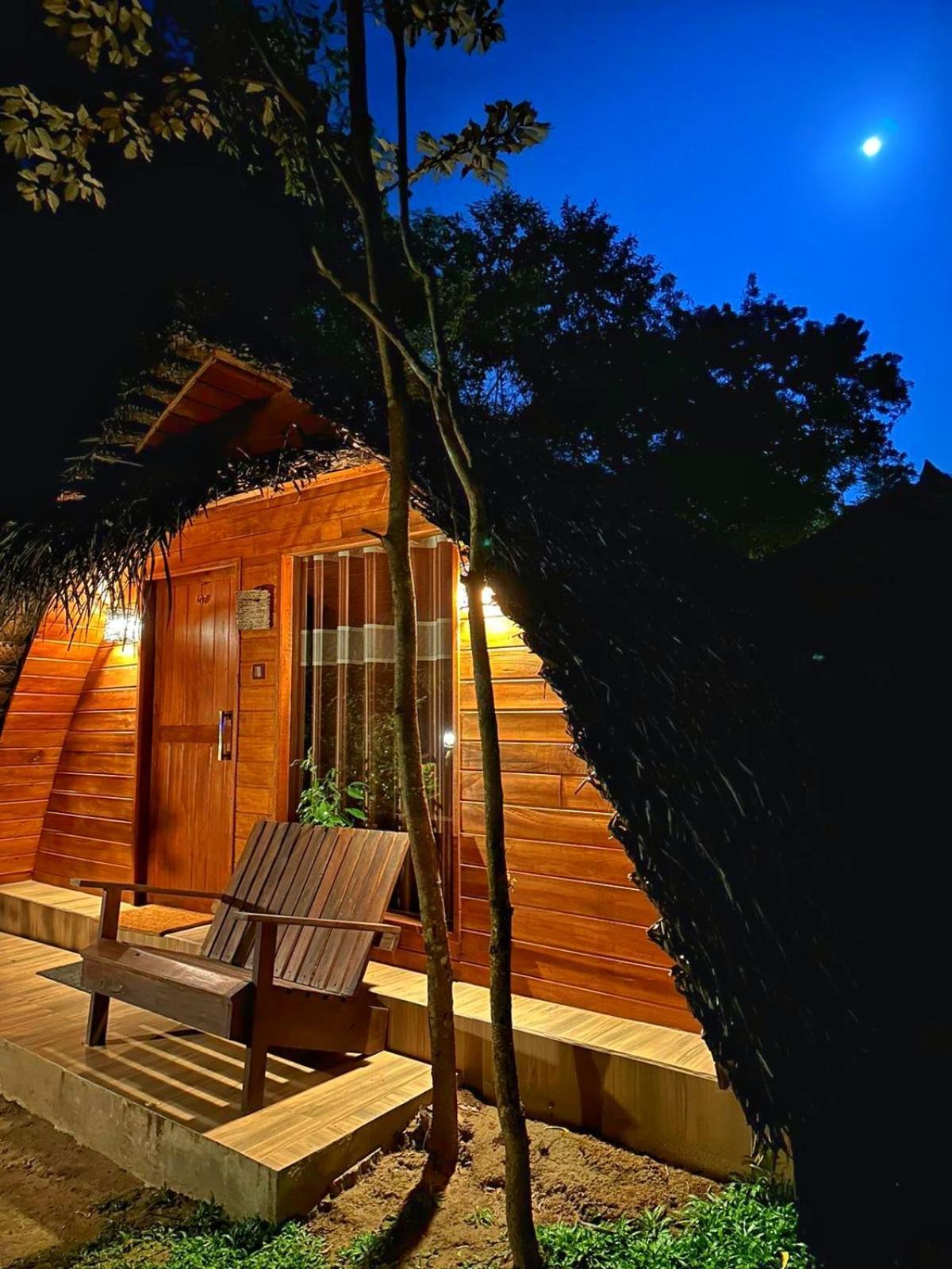 Hotel Palmyra Nature