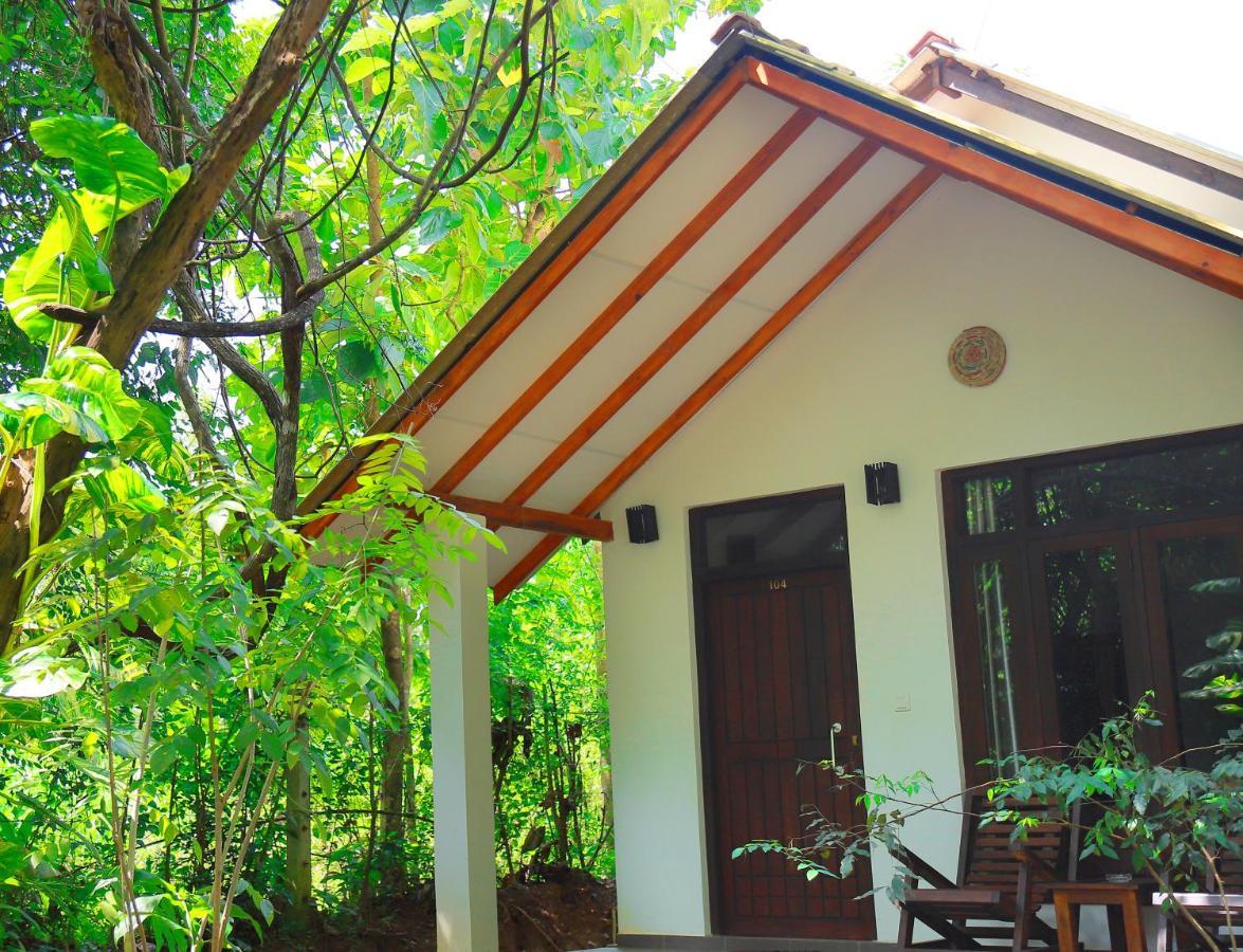 Hotel Palmyra Nature