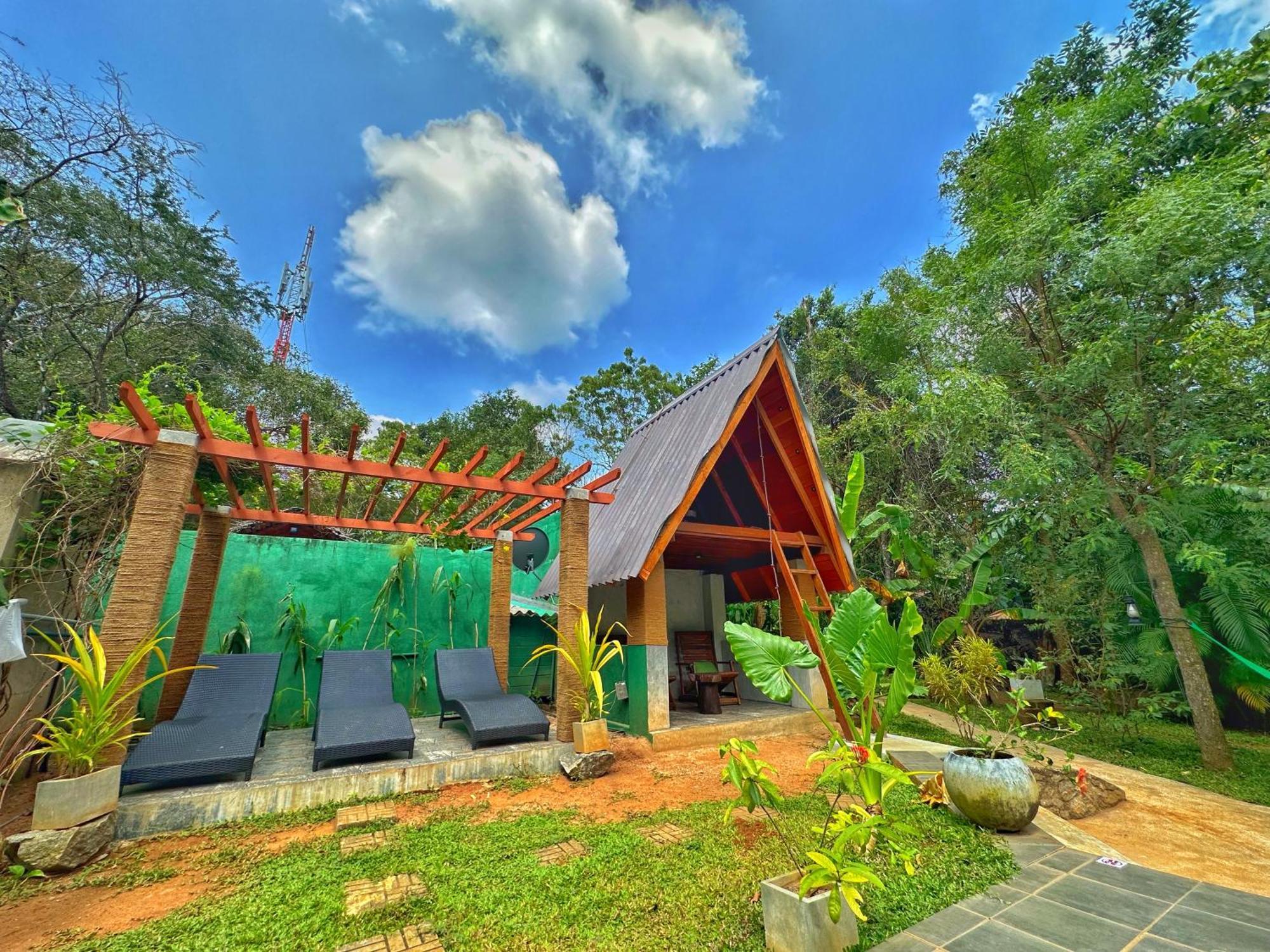 Palmyra Nature 3*