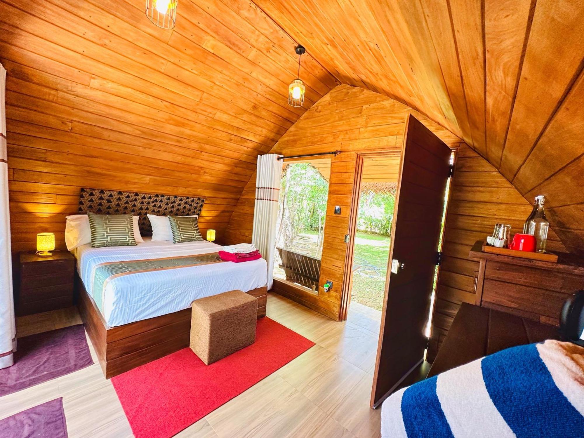 Palmyra Nature 3*
