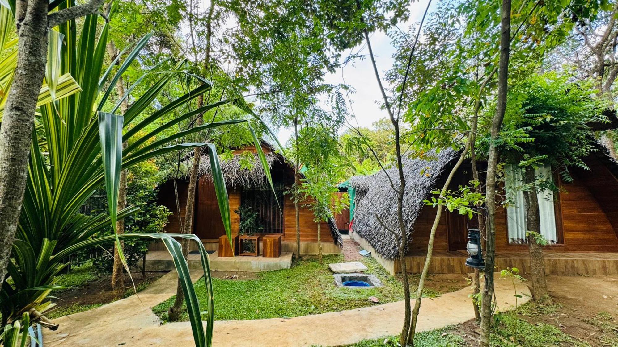 Palmyra Nature 3*