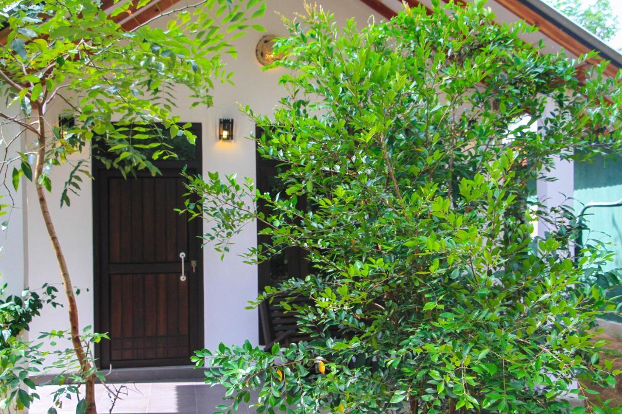 Palmyra Nature 3*