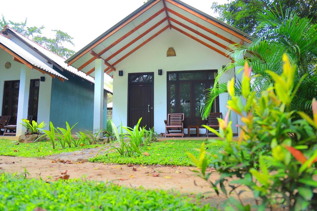 Hotel Palmyra Nature