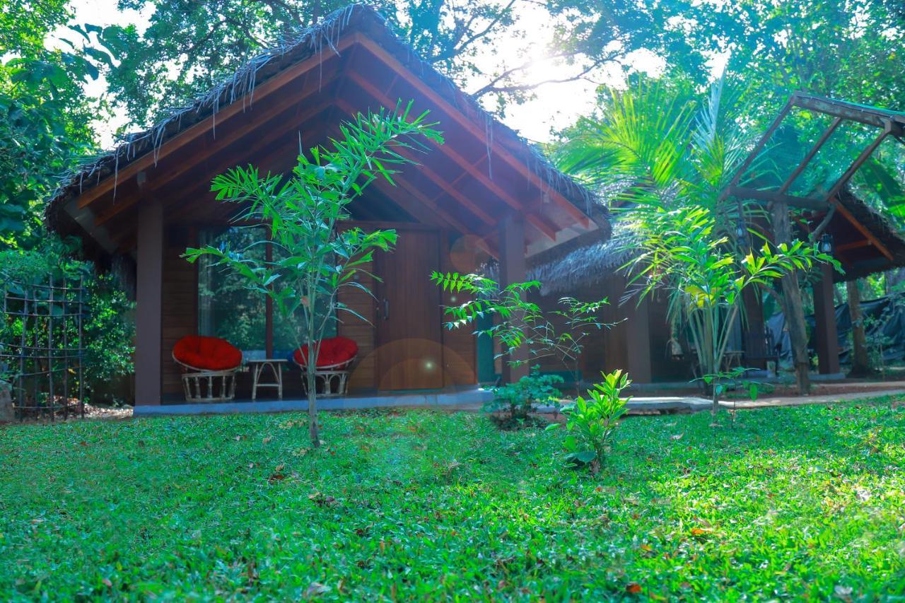 Palmyra Nature Hotel 3*